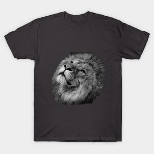 Lion T-Shirt